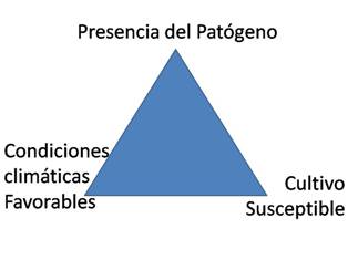 Triángulo de la enfermedad patógeno, huesped y ambiente